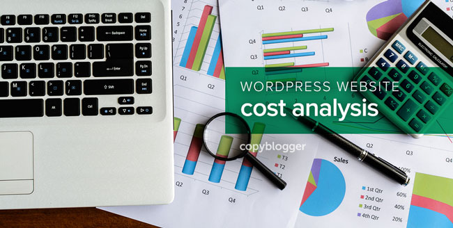 wordpress website cost analysis