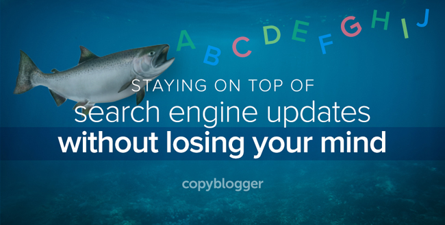 staying on top of search engine updates without losing your mind